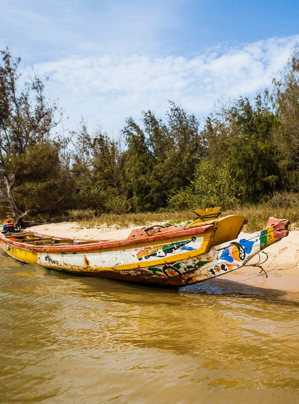 Séjour au Sénégal au parc national de la Langue de Barbarie