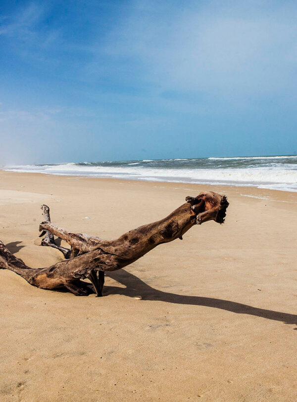 Séjour au Sénégal à Saly