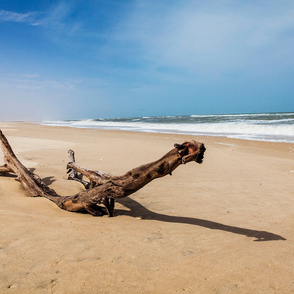 Séjour au Sénégal à Saly