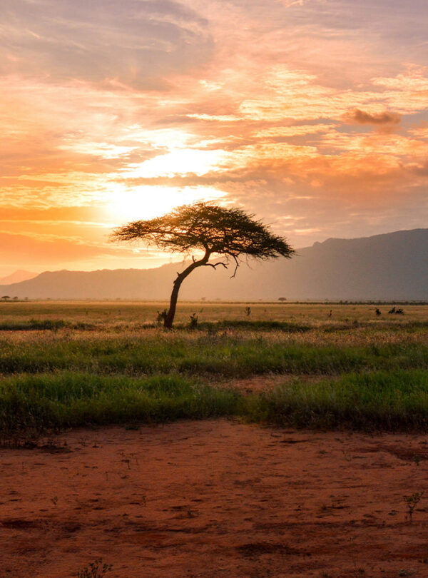 Voyage en groupe en Afrique pour CSE, associations et autocaristes.