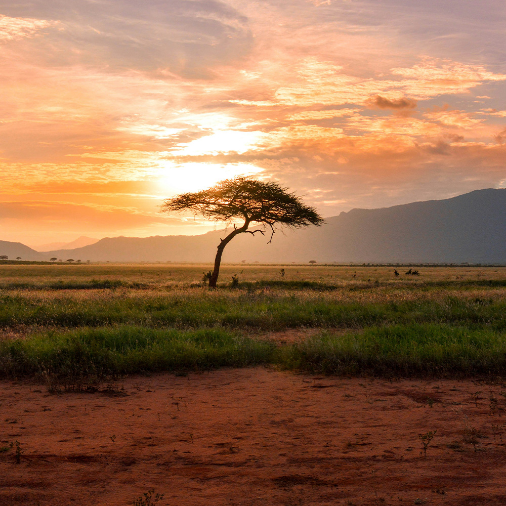 Voyage en groupe en Afrique pour CSE, associations et autocaristes.