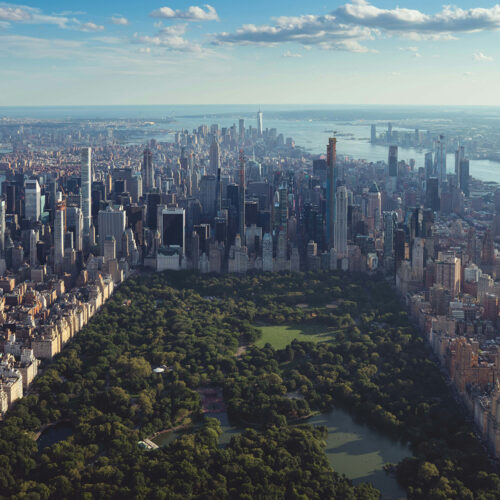 Central Park vu du ciel – excursion nature en groupe