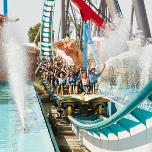 Montagnes russes Shambhala à PortAventura – sensations fortes pour groupes