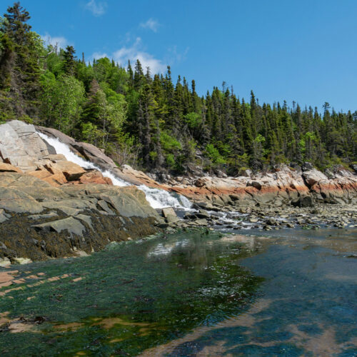 Tadoussac au Canada - La nature