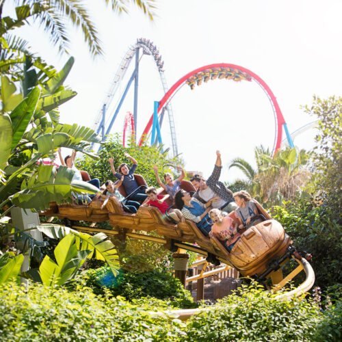 Montagnes russes familiales Tami Tami à PortAventura – activité adaptée aux groupes