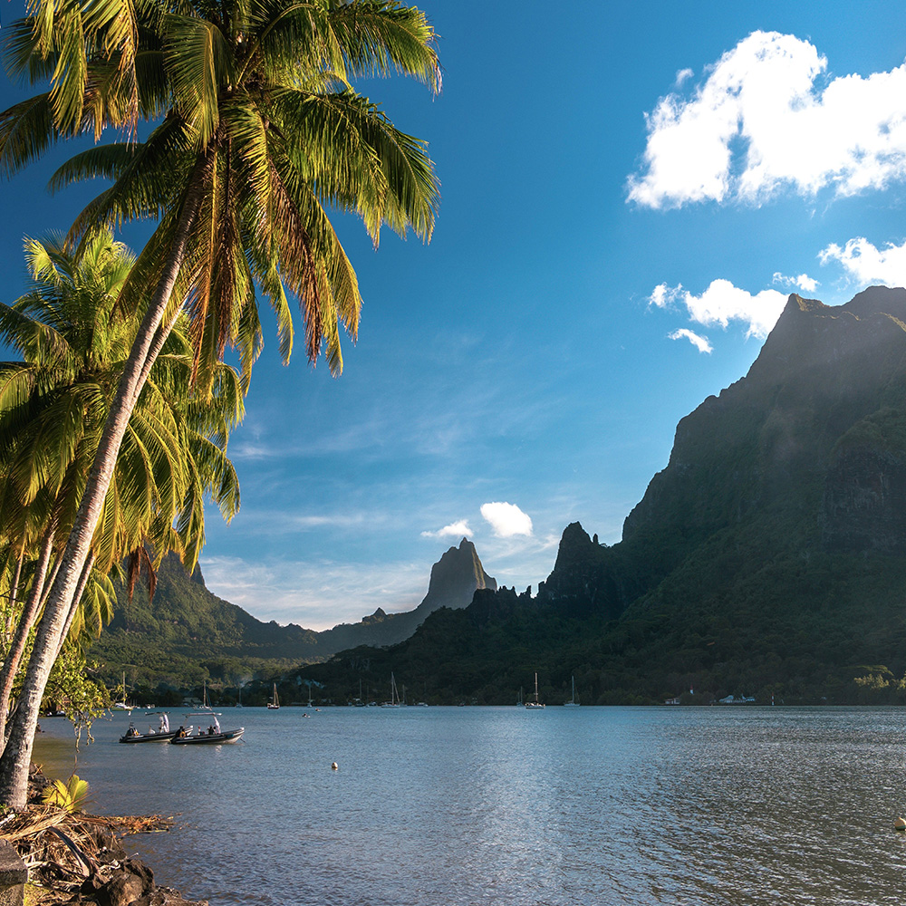 Séjour en Polynésie française - Moorea & Tahiti – Image 6