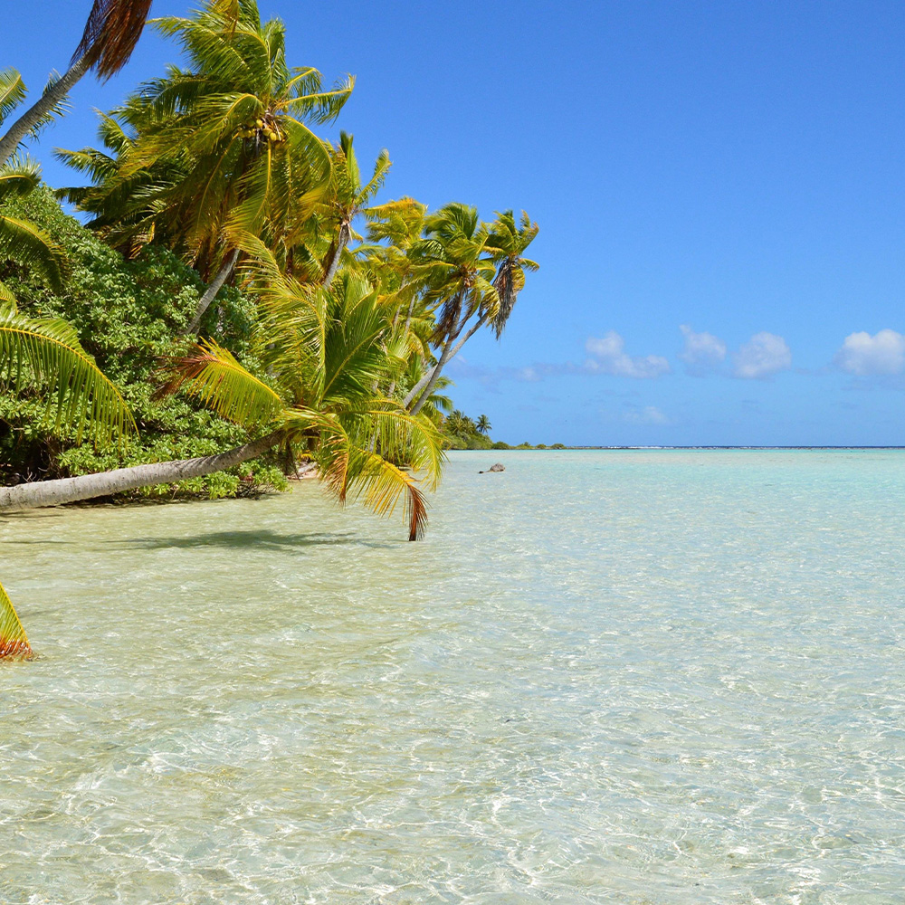 Séjour en Polynésie française - Moorea & Tahiti – Image 5