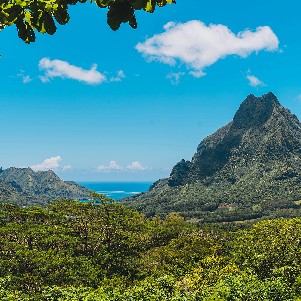 Séjour en Polynésie française - Moorea & Tahiti – Image 4